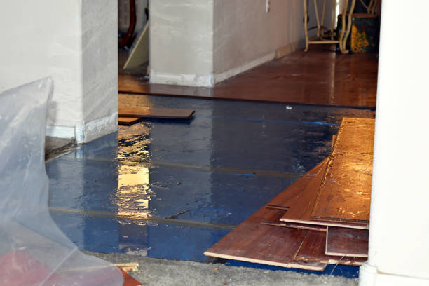 Professional Basement Water Removal technician working in Plattsburg, MO